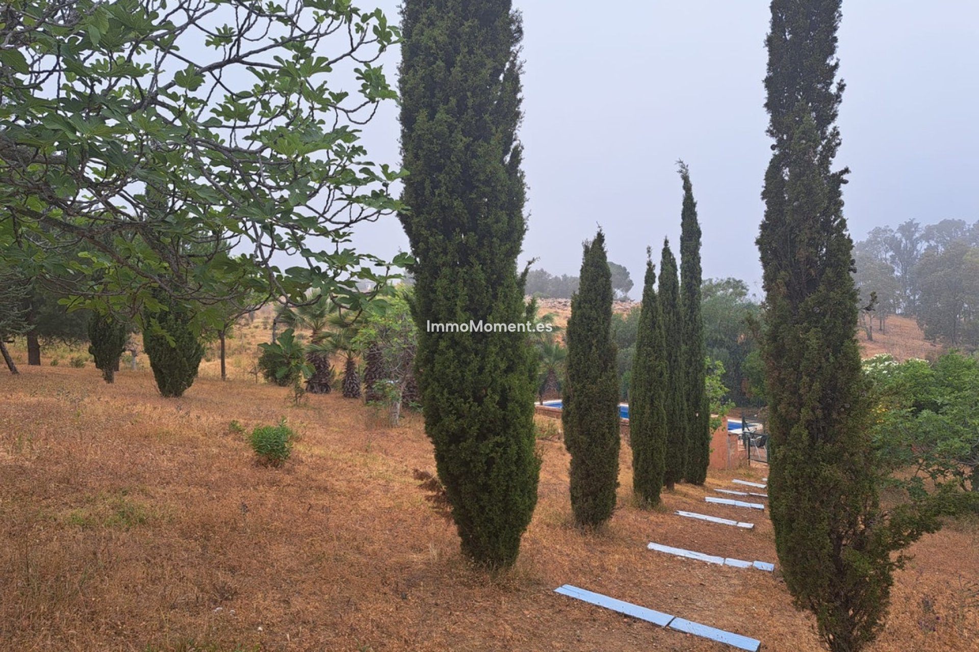 Bestaande woning - Landhuis - Mijas - Entrerrios