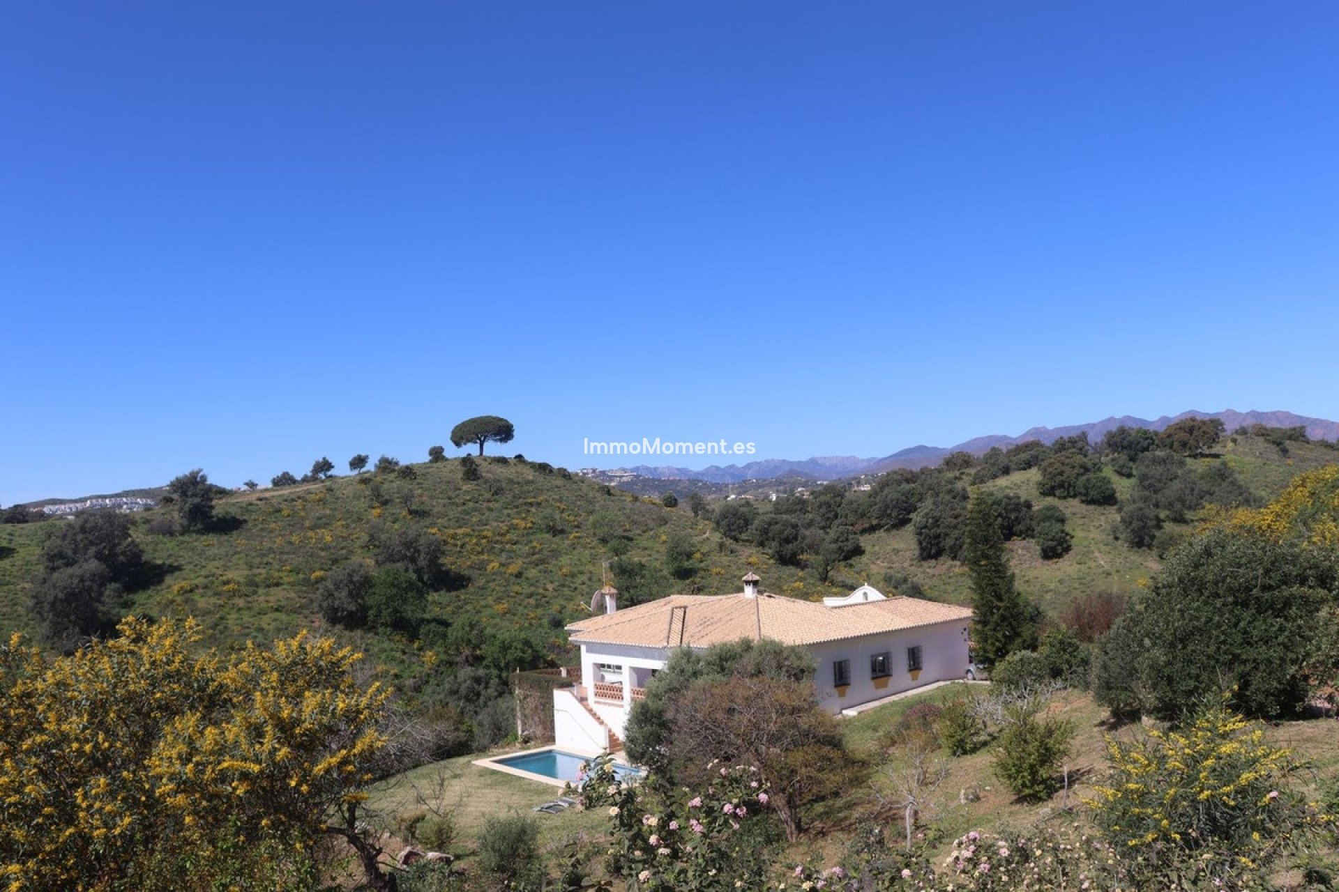 Bestaande woning - Landhuis - Mijas - La Cala de Mijas