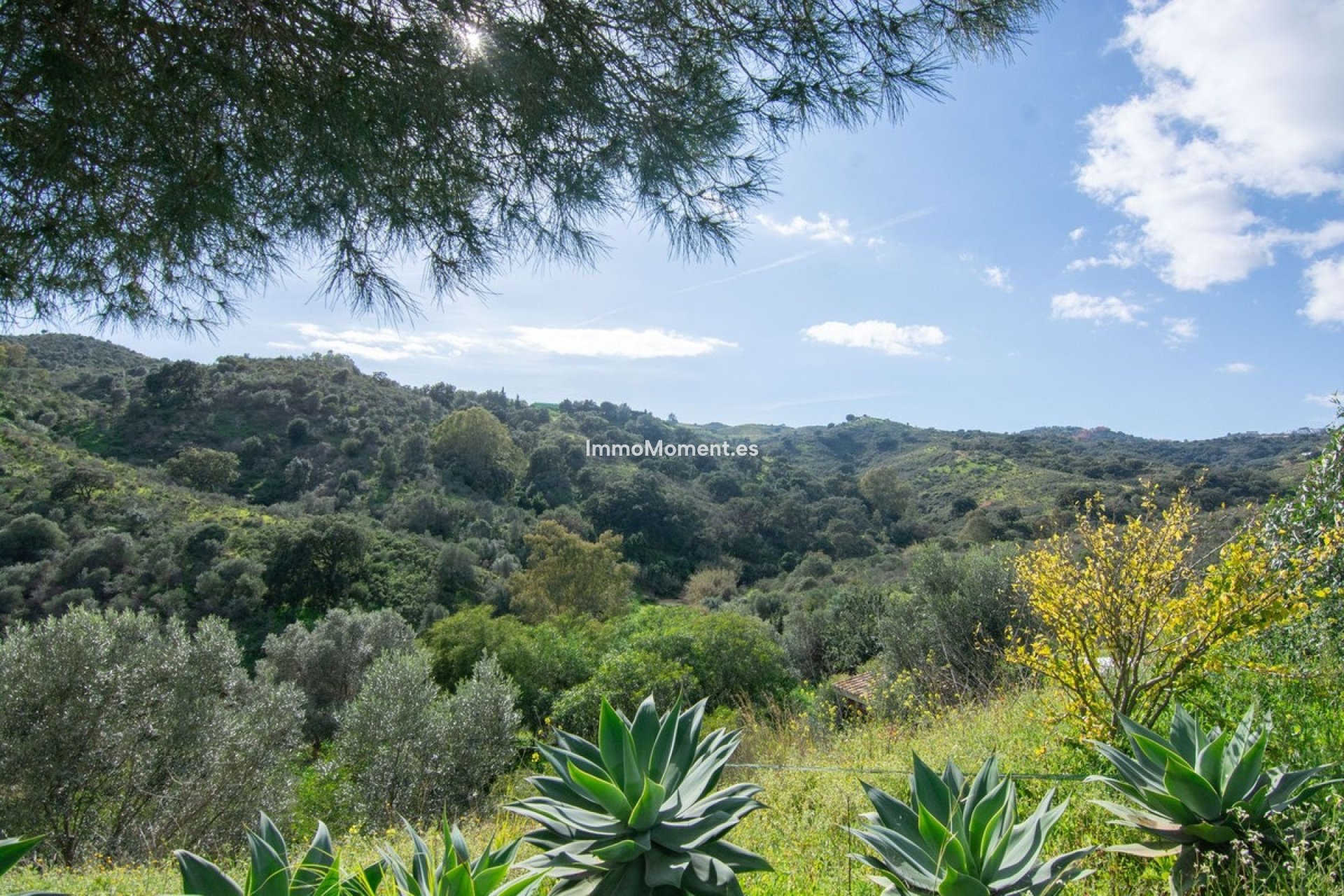 Bestaande woning - Landhuis - Mijas - La Cala Golf