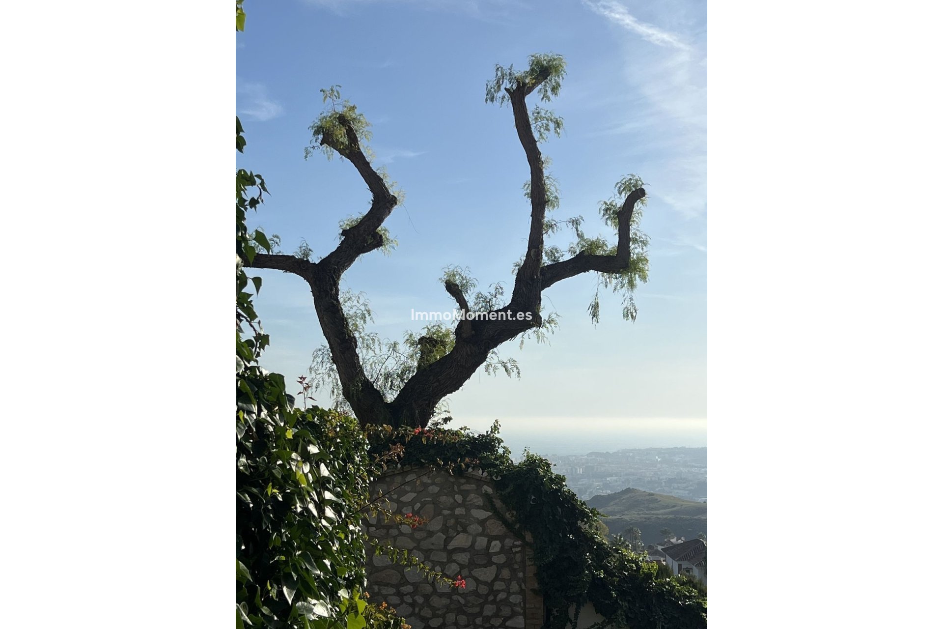 Bestaande woning - Landhuis - Mijas - Mijas Centro