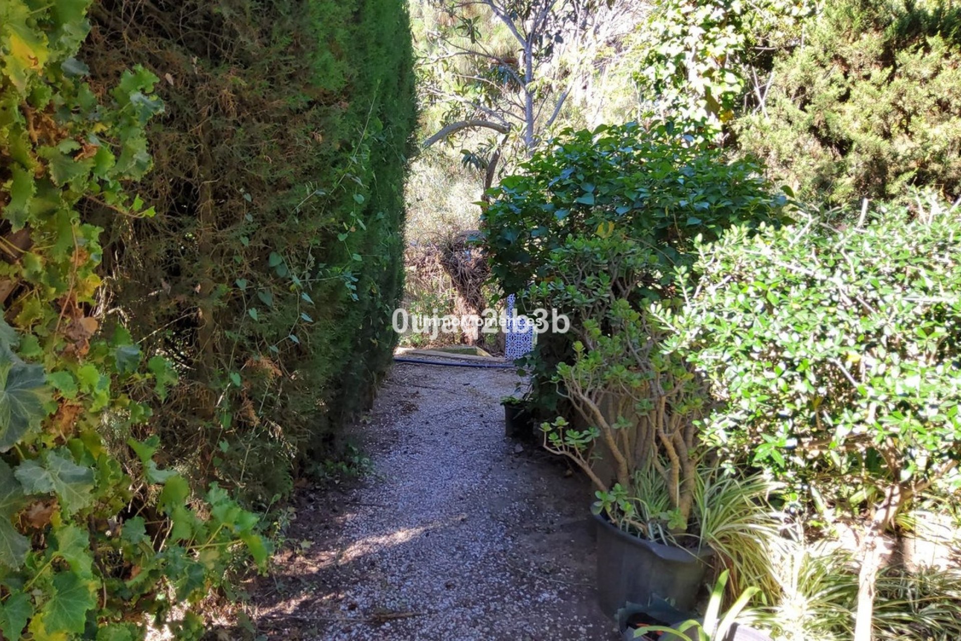 Bestaande woning - Landhuis - Mijas - Mijas Centro