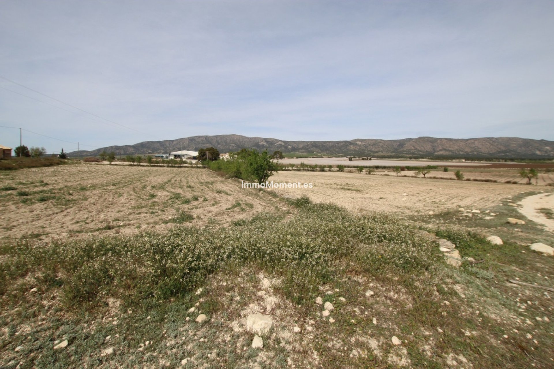 Bestaande woning - Landhuis - Monóvar - Monòver - Monóvar - Monòver Centro