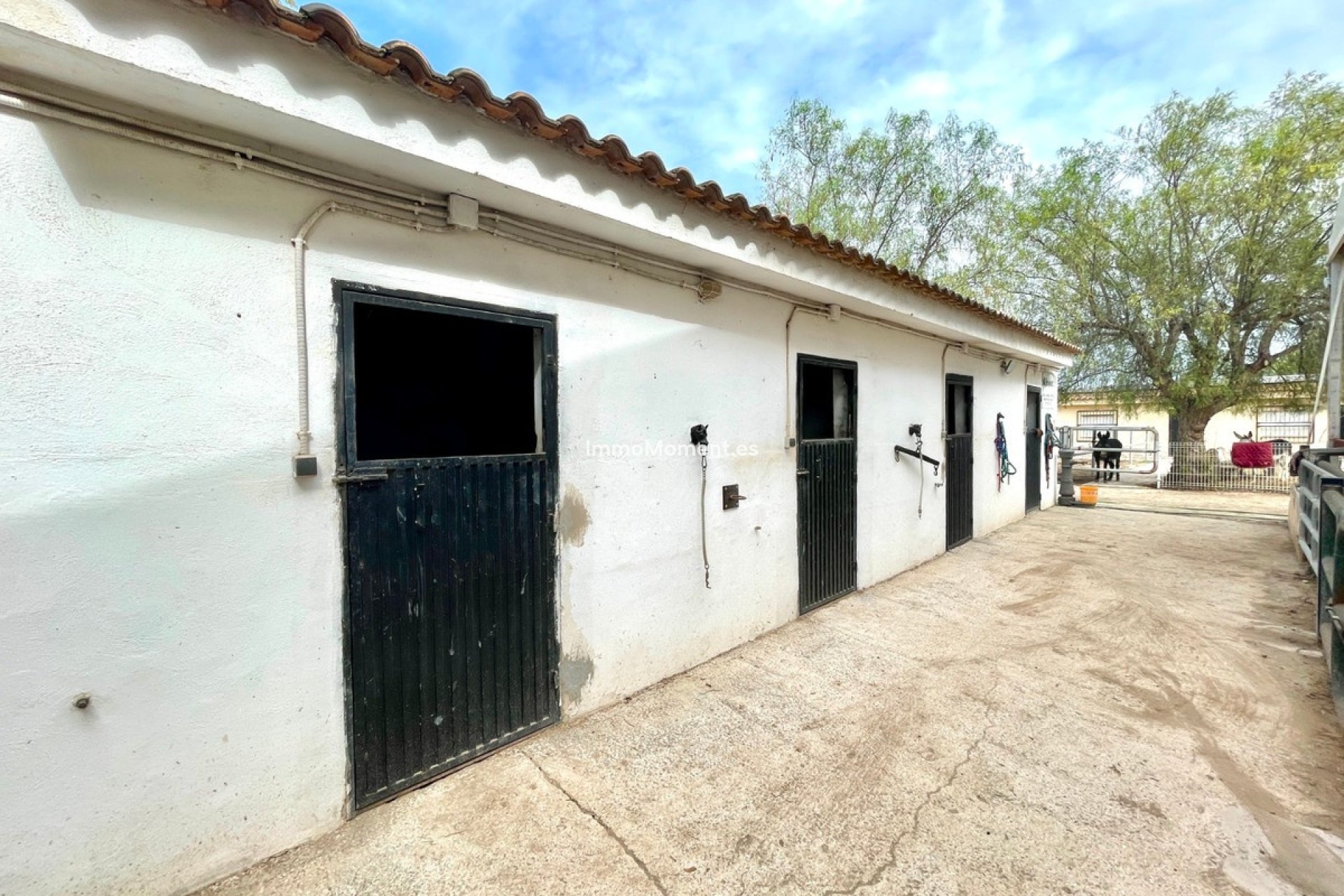 Bestaande woning - Landhuis - Orihuela - Orihuela Centro
