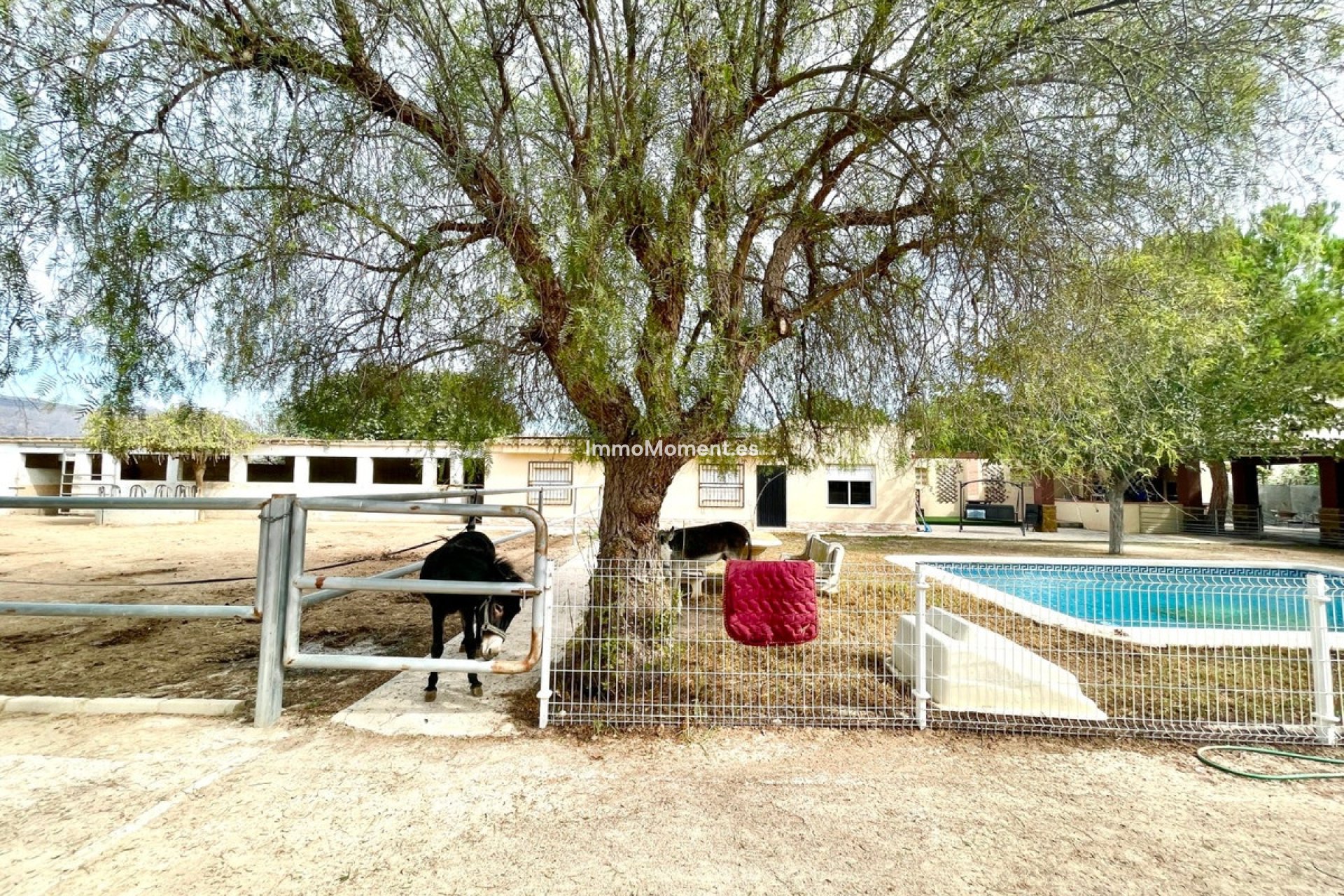 Bestaande woning - Landhuis - Orihuela - Orihuela Centro