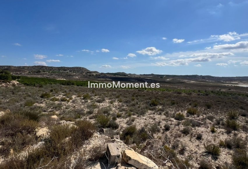 Bestaande woning - Landhuis - Orihuela - Torremendo