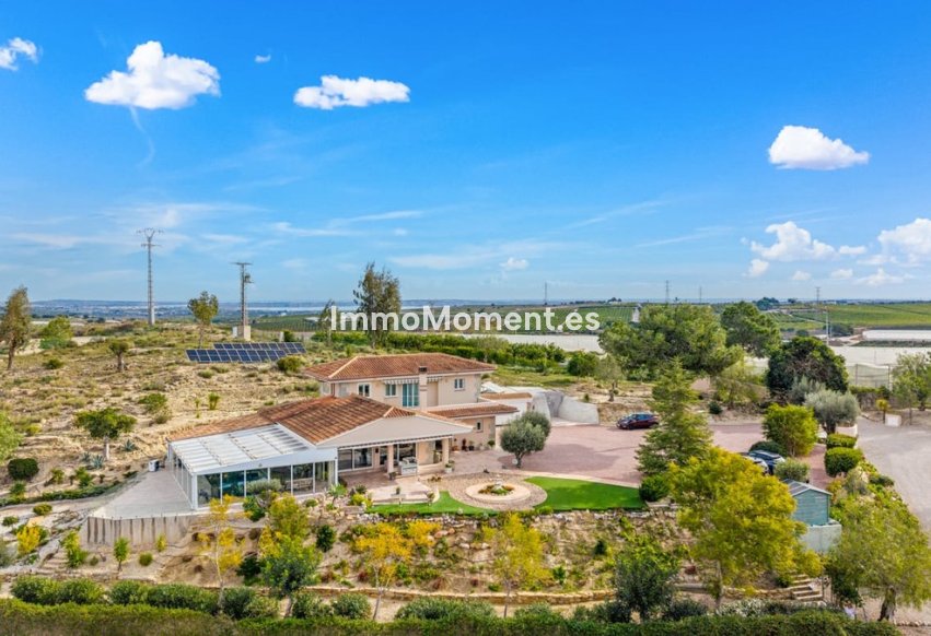 Bestaande woning - Landhuis - Orihuela - Torremendo