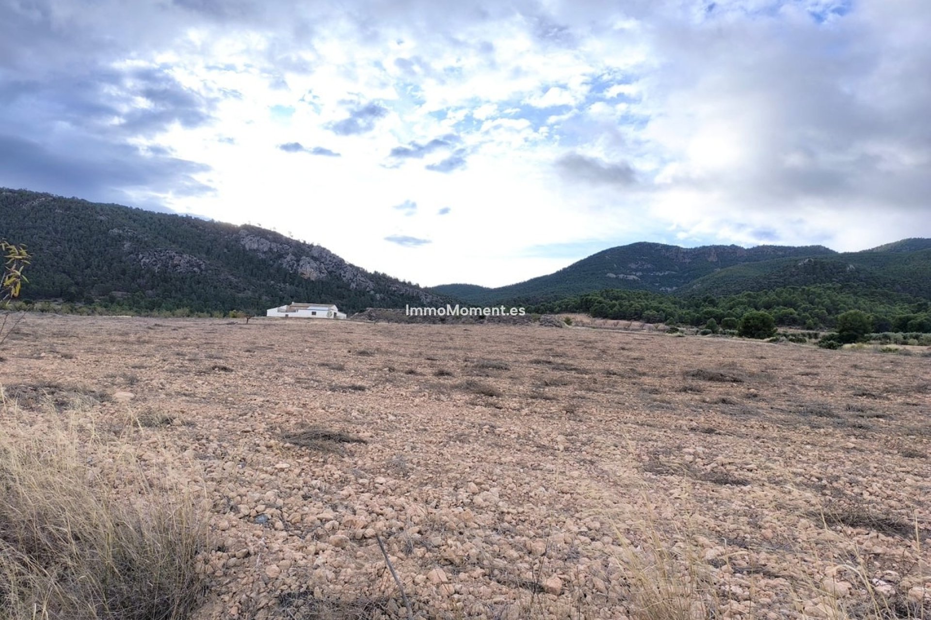 Bestaande woning - Landhuis - Yecla - Yecla Centro