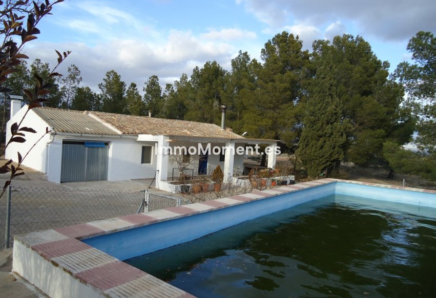 Bestaande woning - Landhuis - Yecla - Yecla Centro