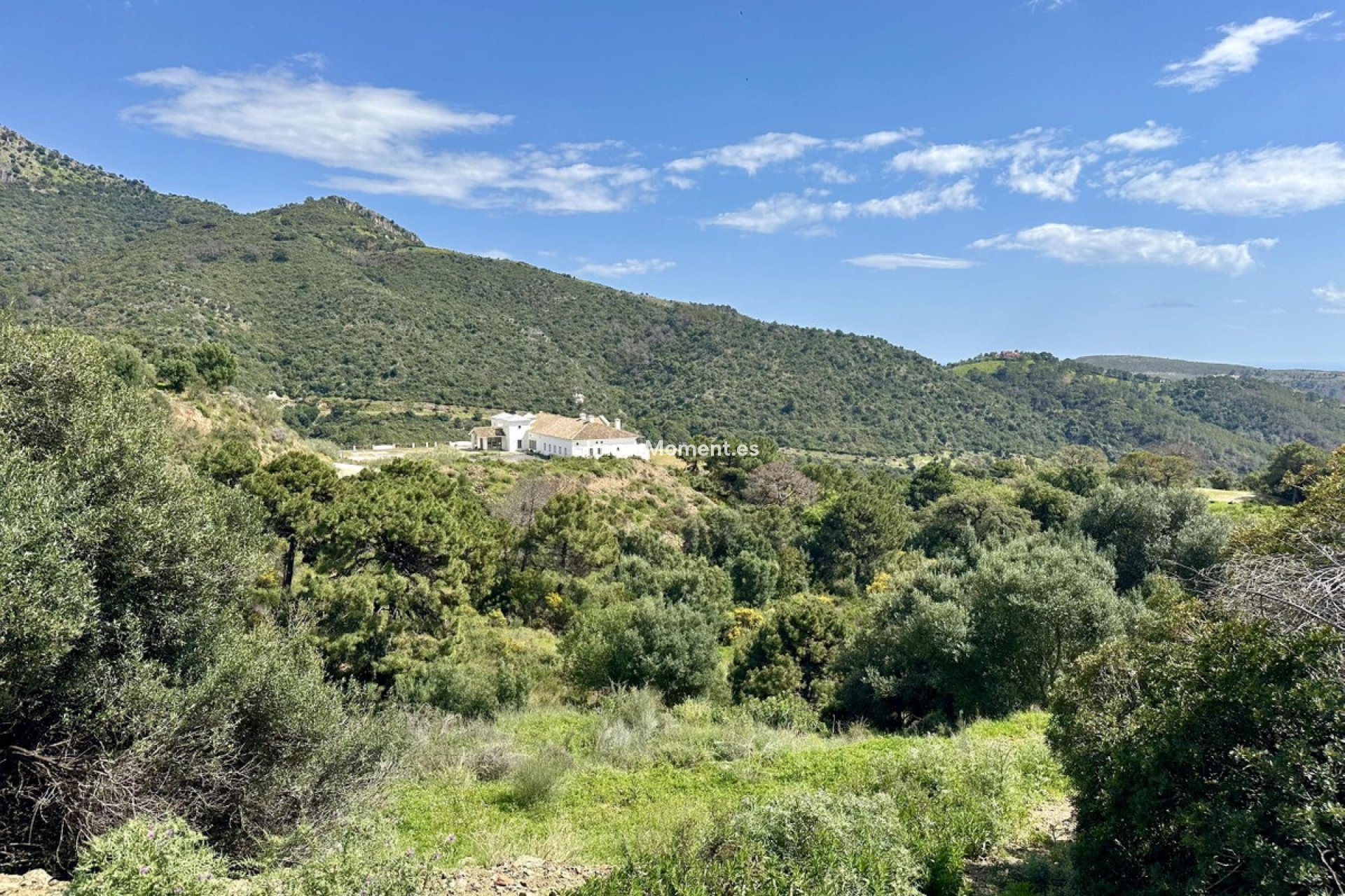 Bestaande woning - Perceel - Benahavís - Benahavís Centro