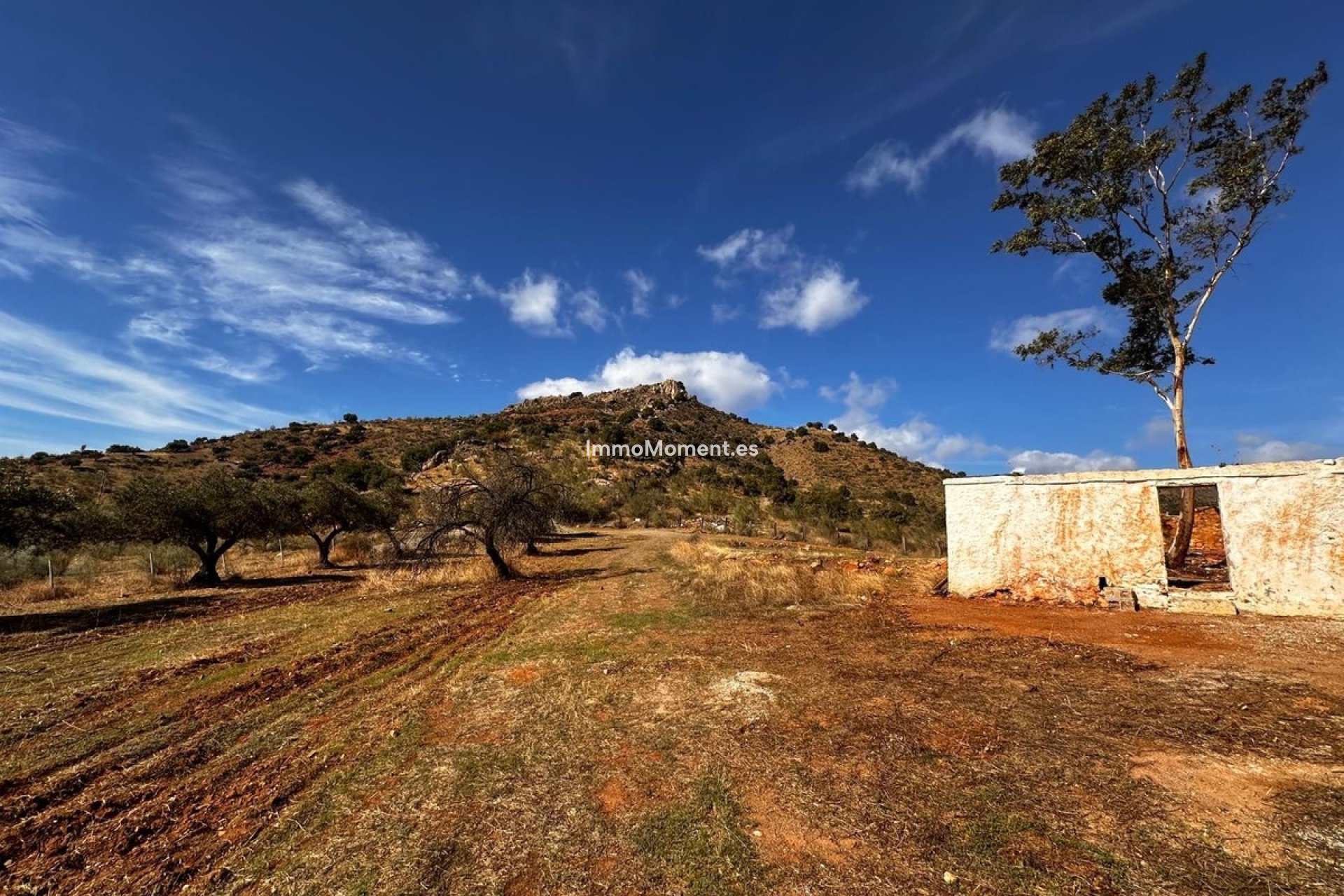 Bestaande woning - Perceel - Binnenland  - Almogía