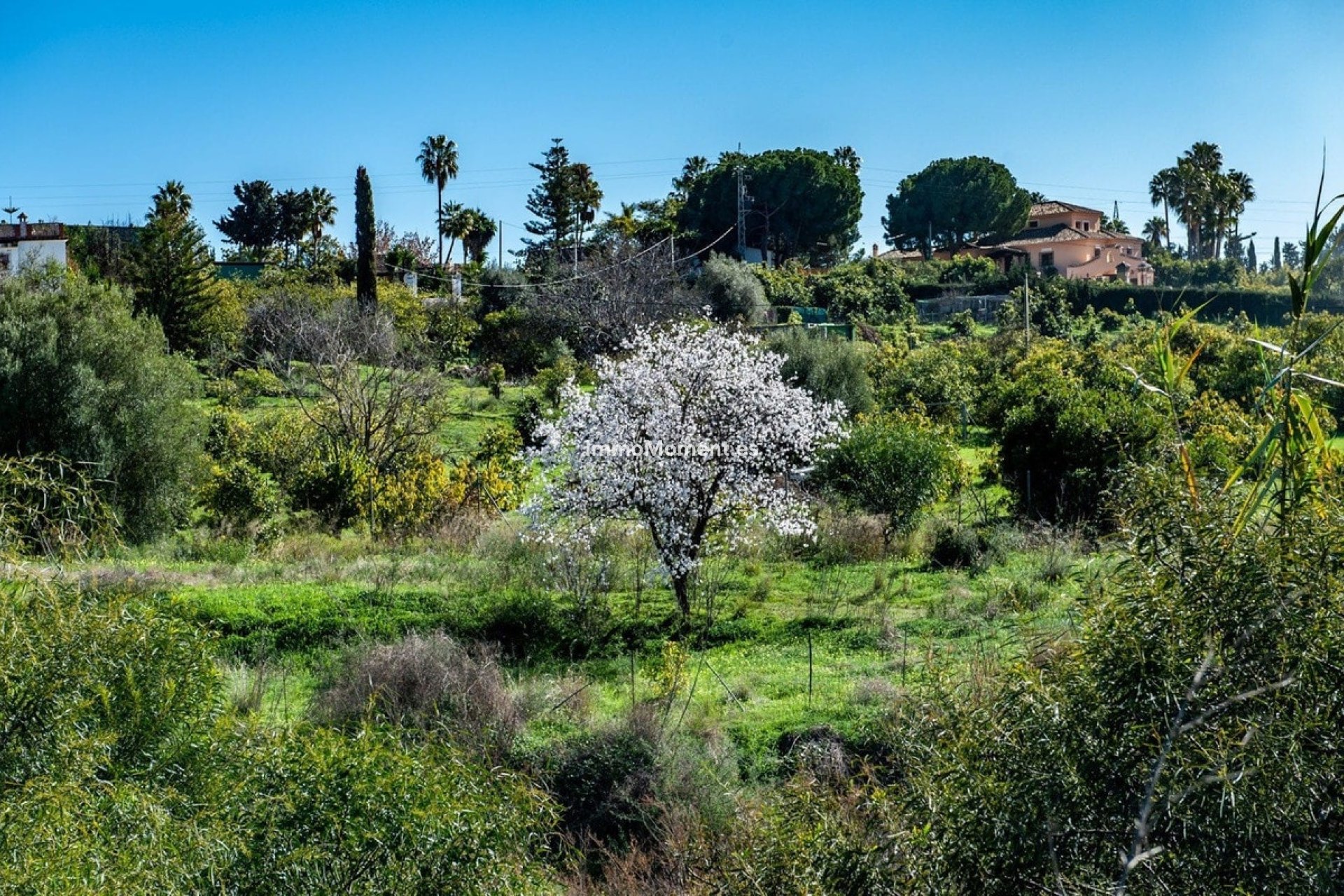 Bestaande woning - Perceel - Estepona  - New Golden Mile