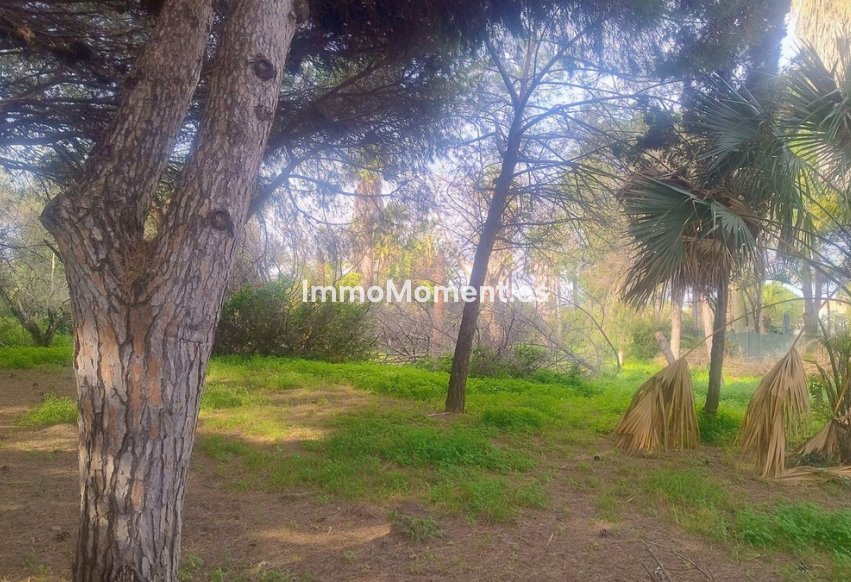Bestaande woning - Perceel - Marbella - Hacienda Las Chapas