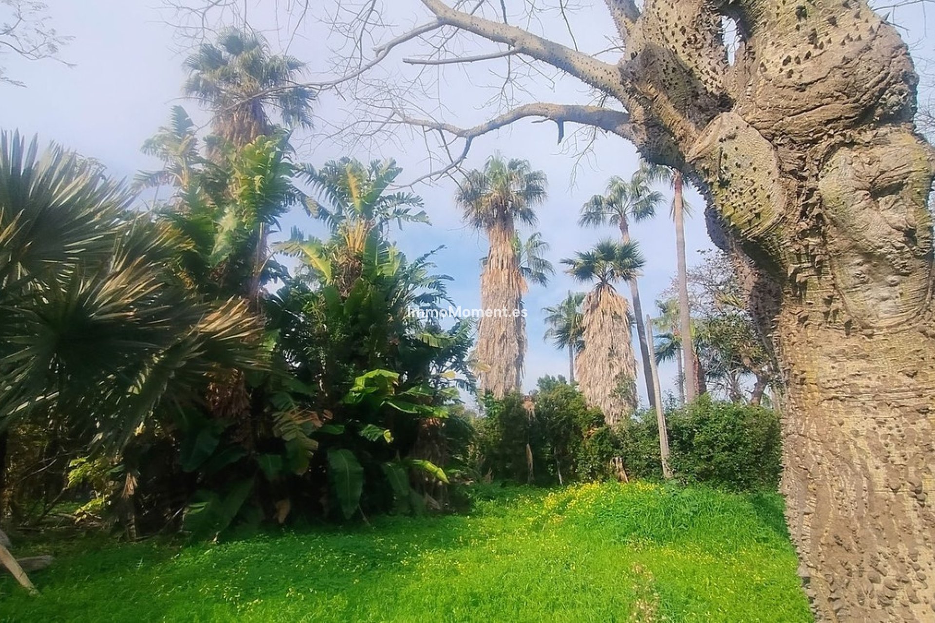 Bestaande woning - Perceel - Marbella - Hacienda Las Chapas