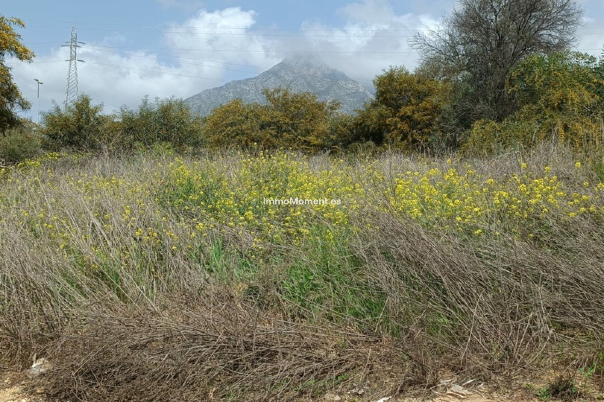 Bestaande woning - Perceel - Marbella - The Golden Mile