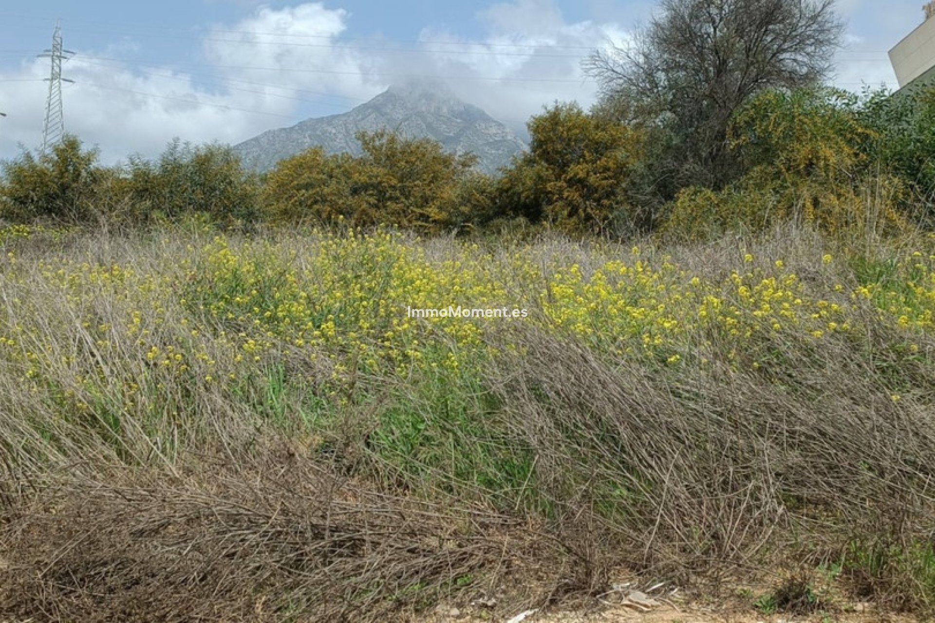 Bestaande woning - Perceel - Marbella - The Golden Mile
