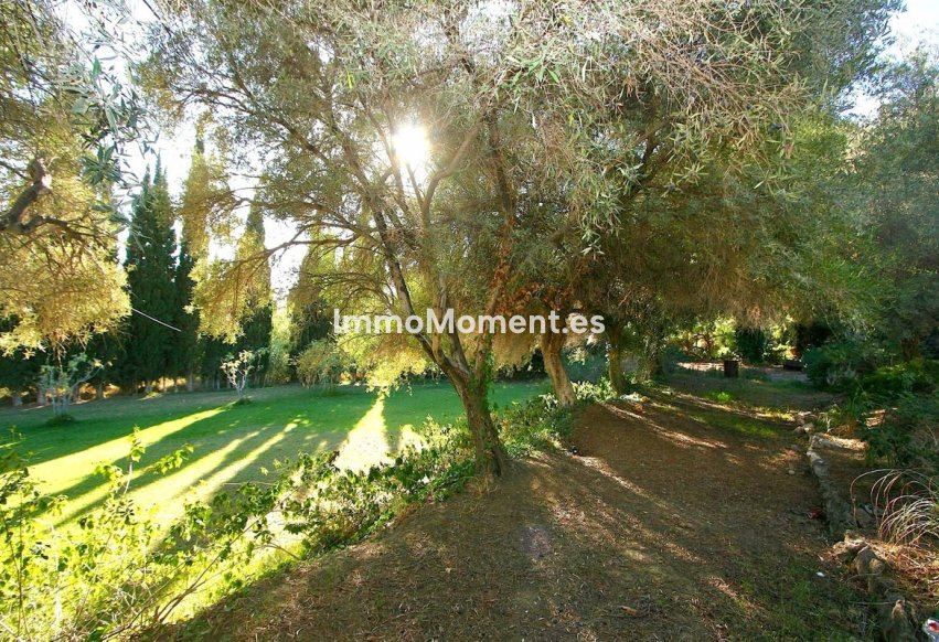 Bestaande woning - Perceel - Mijas - Mijas Centro