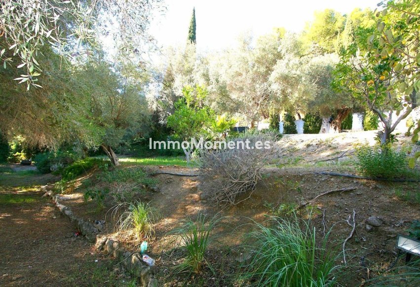 Bestaande woning - Perceel - Mijas - Mijas Centro