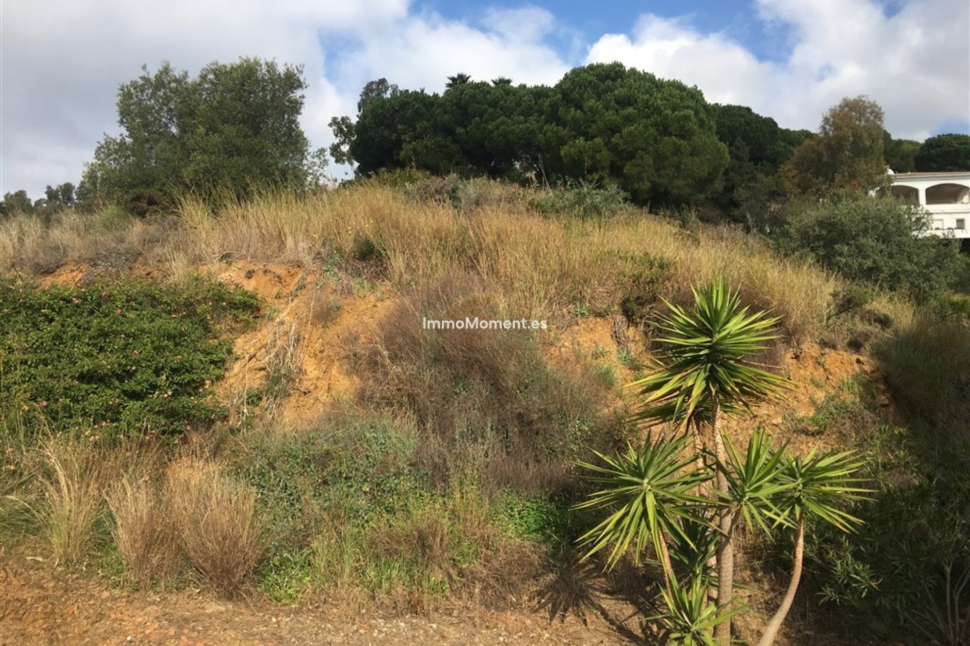 Bestaande woning - Perceel - Mijas - Mijas Centro