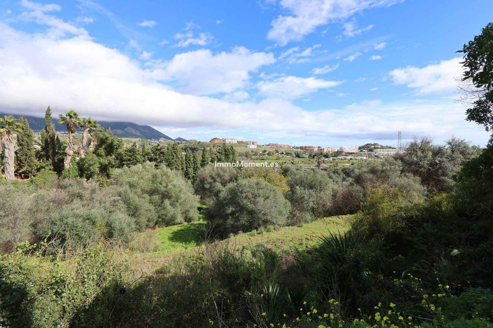 Bestaande woning - Perceel - Mijas - Mijas Centro