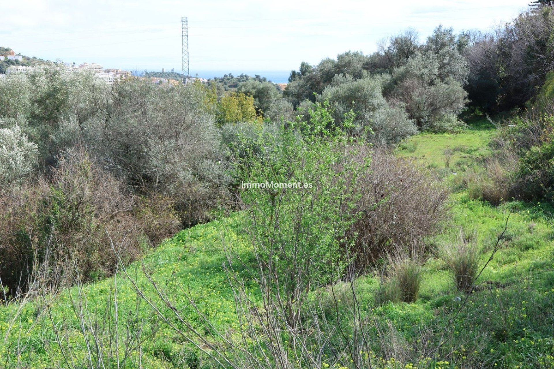 Bestaande woning - Perceel - Mijas - Mijas Centro