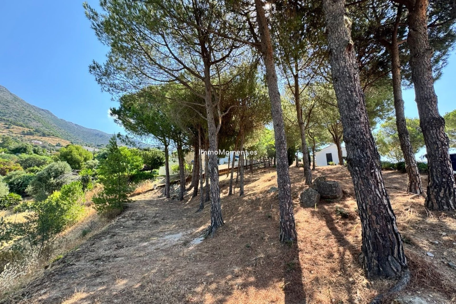 Bestaande woning - Perceel - Mijas - Valtocado