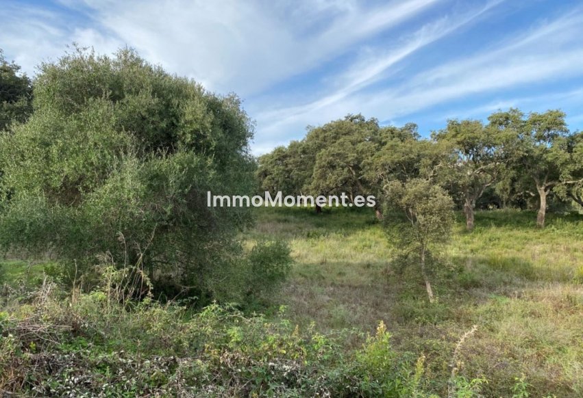 Bestaande woning - Perceel - Sotogrande - San Roque Club