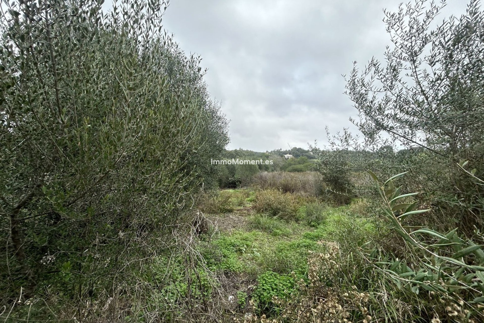 Bestaande woning - Perceel - Sotogrande - Sotogrande Alto