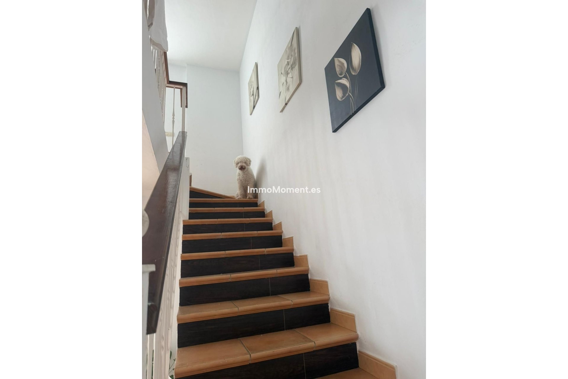 Bestaande woning - Rijtjeshuis - Benahavís - Benahavís Centro