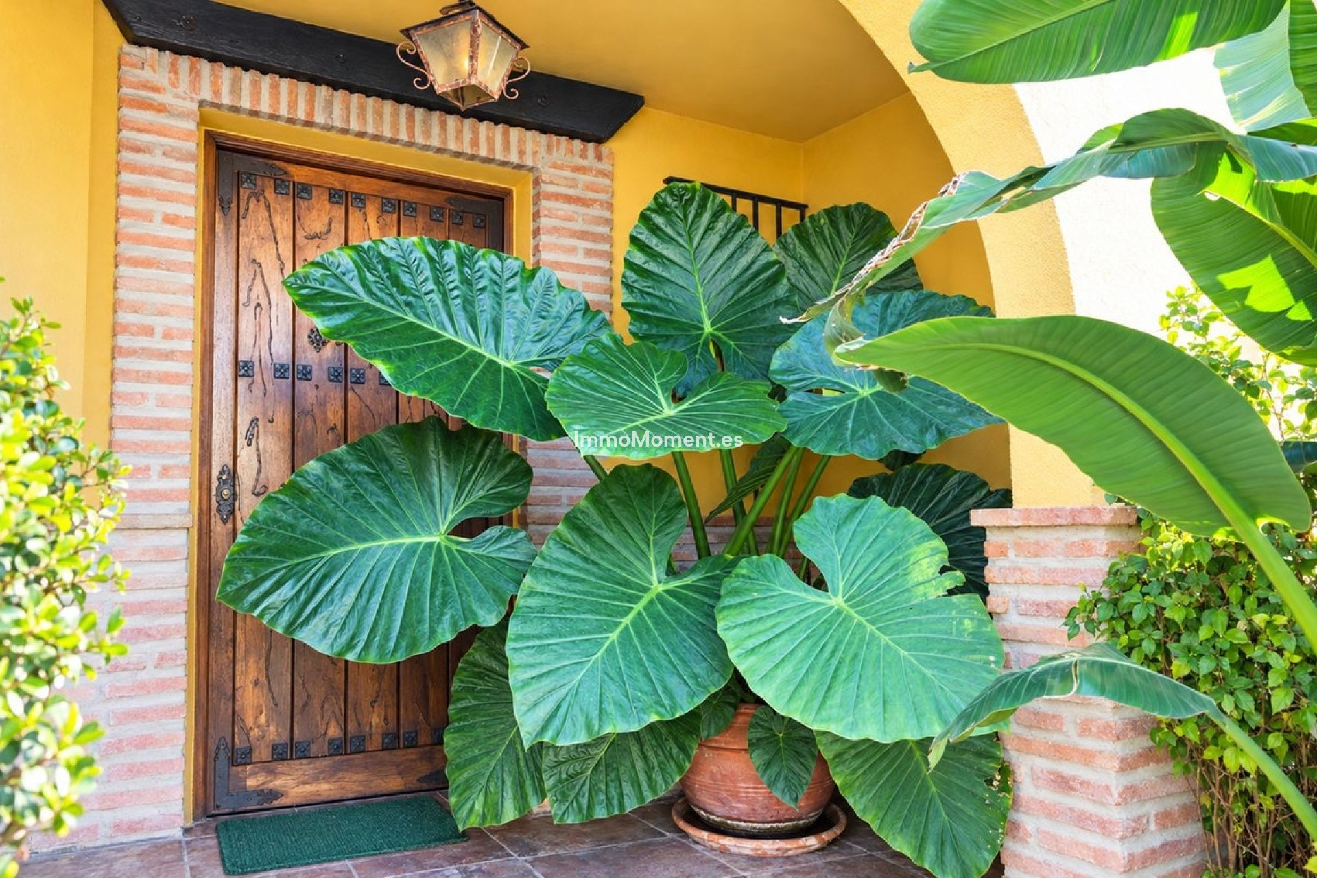 Bestaande woning - Rijtjeshuis - Casares - Casares Playa