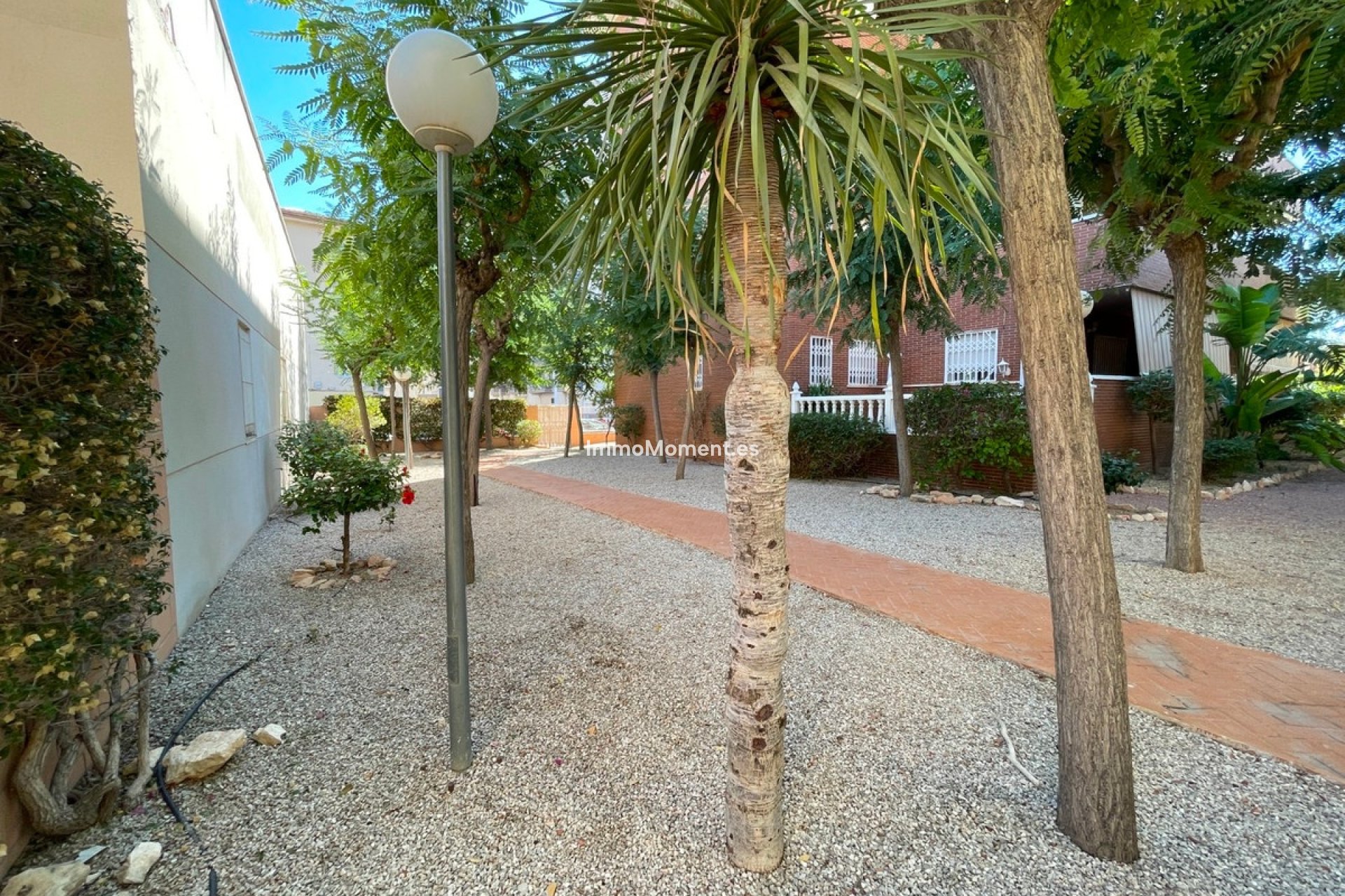 Bestaande woning - Rijtjeshuis - Elche - Elche Centro