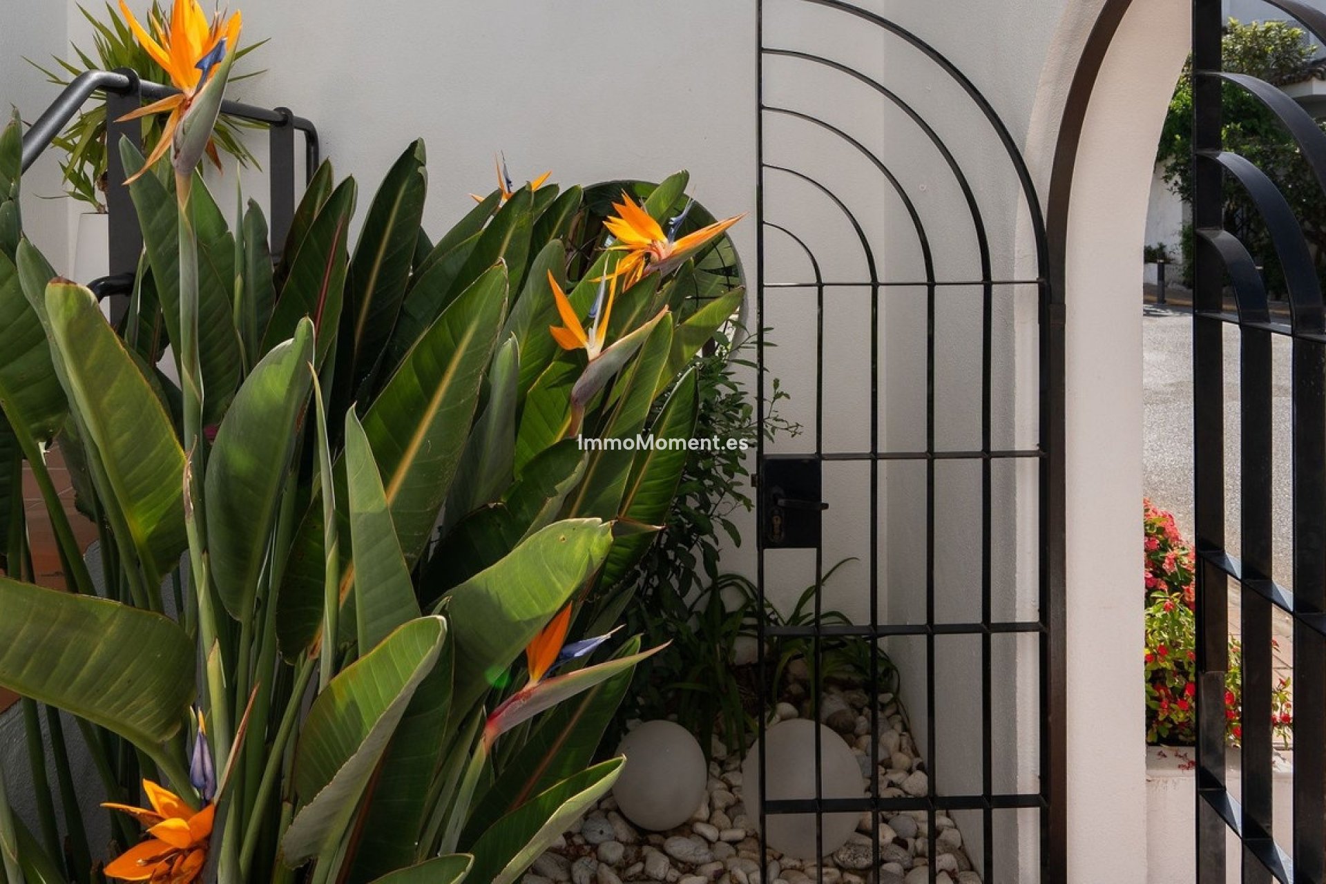Bestaande woning - Rijtjeshuis - Estepona  - Costalita