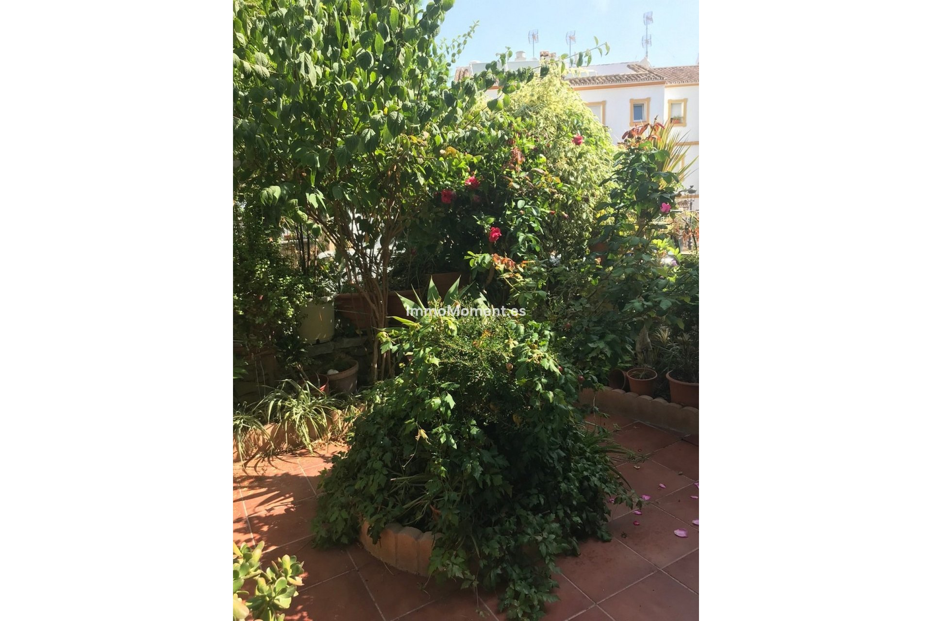 Bestaande woning - Rijtjeshuis - Estepona  - Estepona Centro