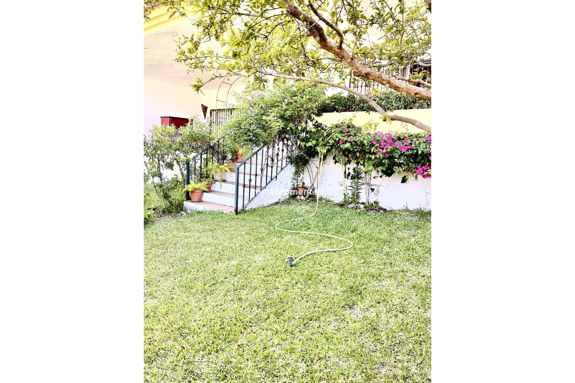 Bestaande woning - Rijtjeshuis - Estepona  - Estepona Centro