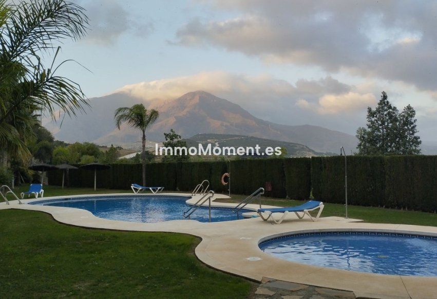 Bestaande woning - Rijtjeshuis - Estepona  - Estepona Centro