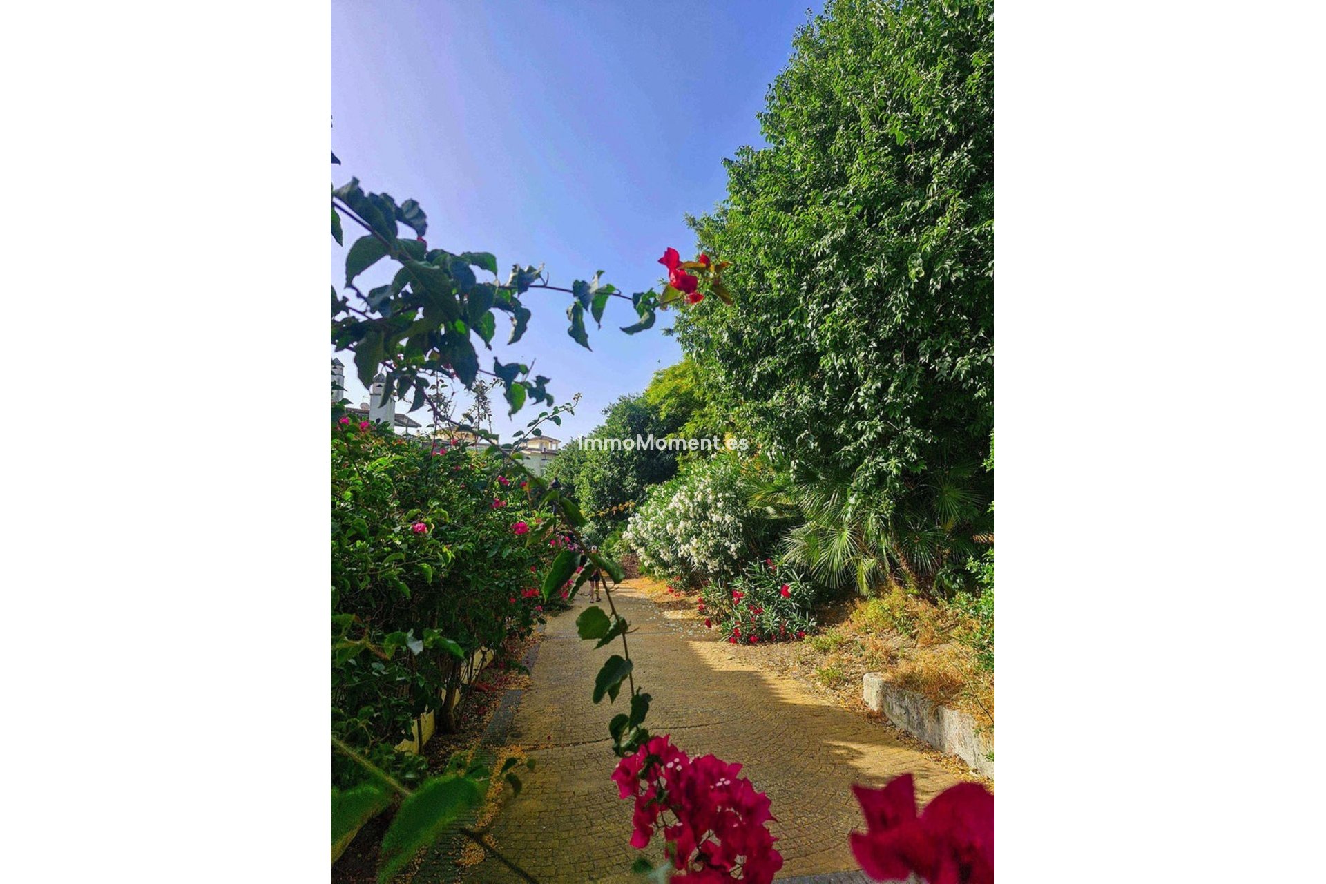 Bestaande woning - Rijtjeshuis - Estepona  - Estepona Centro