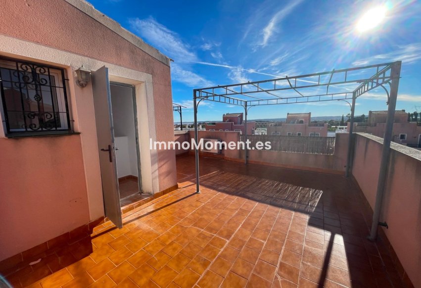 Bestaande woning - Rijtjeshuis - Los Montesinos - Los Montesinos Centro