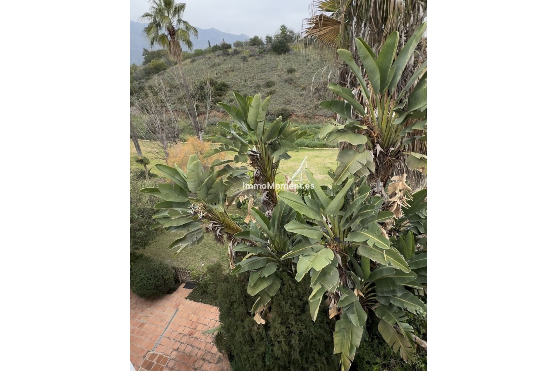 Bestaande woning - Rijtjeshuis - Marbella - Marbella Centro