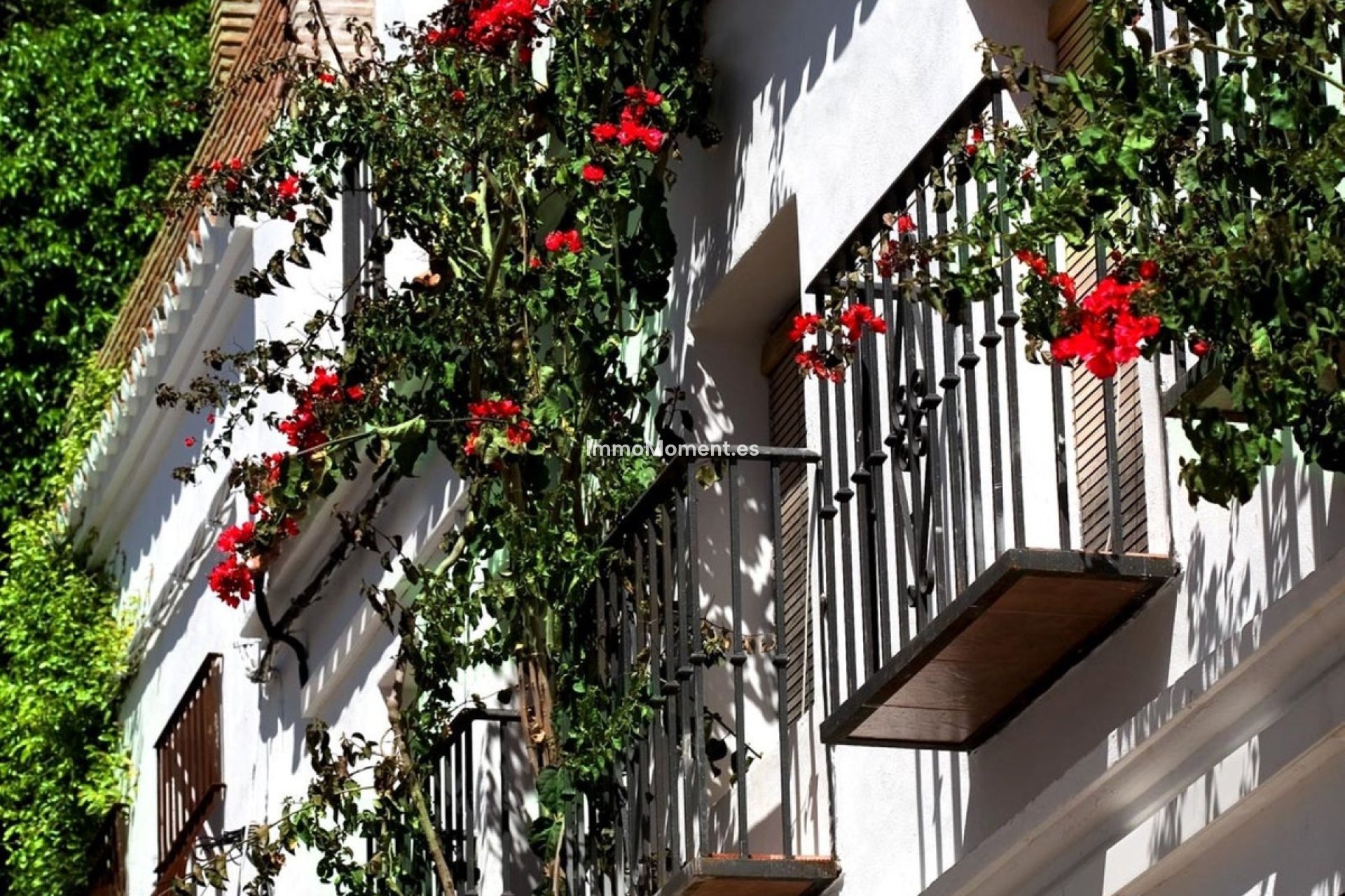 Bestaande woning - Rijtjeshuis - Marbella - Marbella Centro