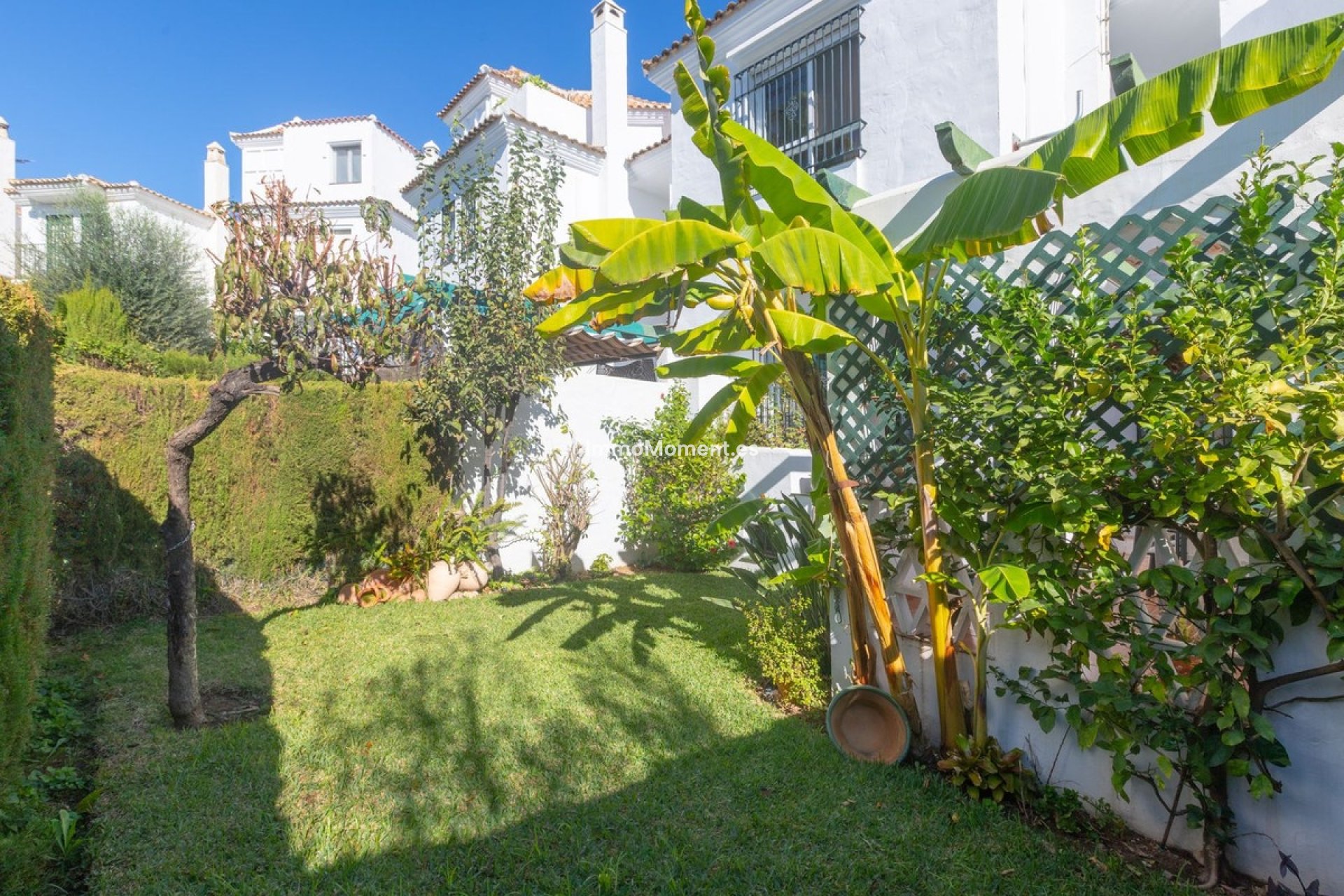 Bestaande woning - Rijtjeshuis - Marbella - Marbella Centro
