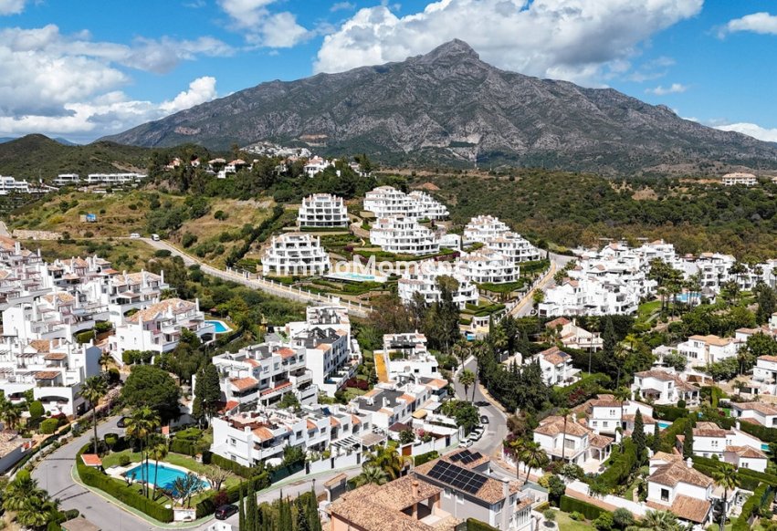 Bestaande woning - Rijtjeshuis - Marbella - Nueva Andalucía