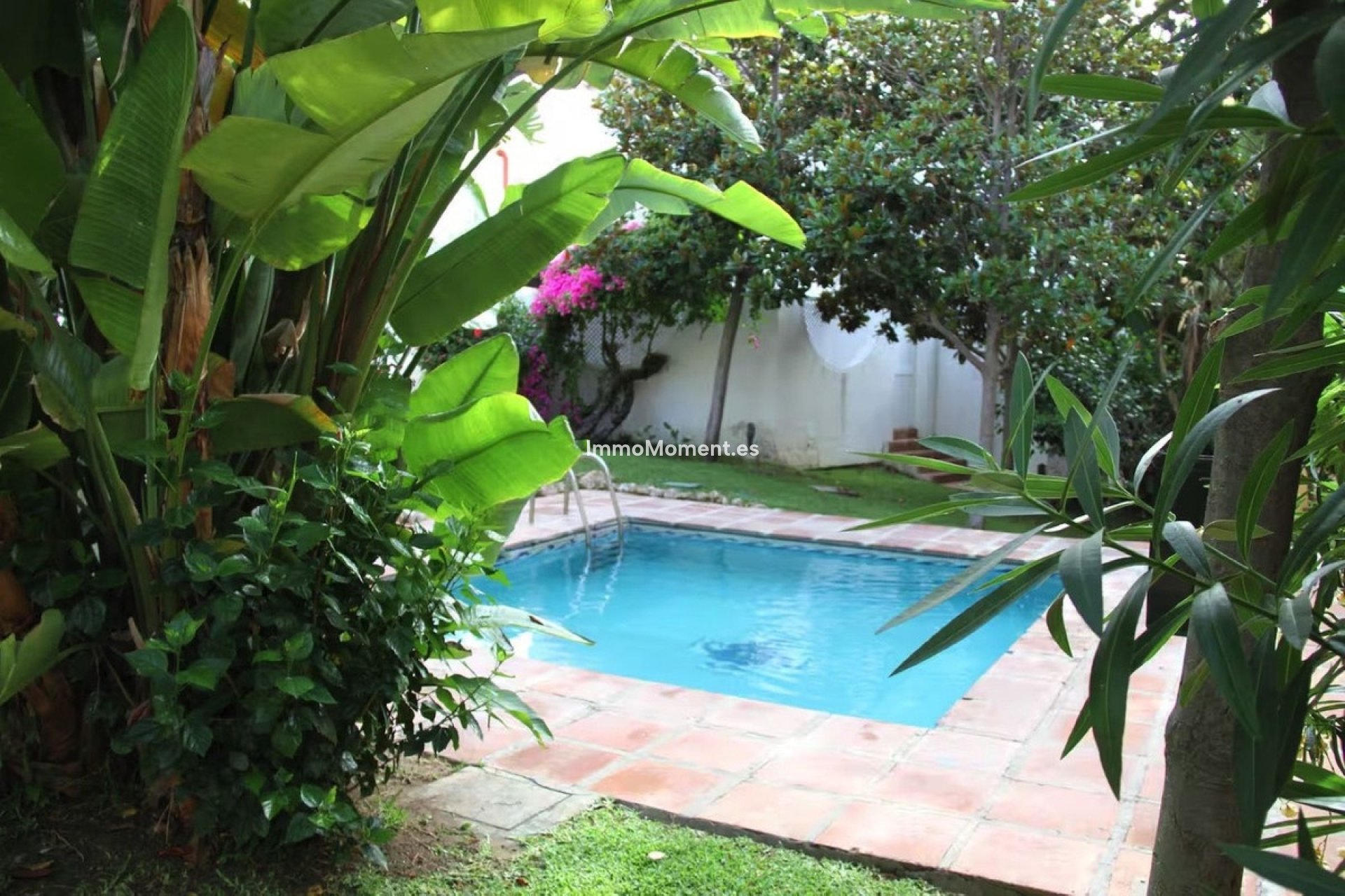 Bestaande woning - Rijtjeshuis - Marbella - Nueva Andalucía