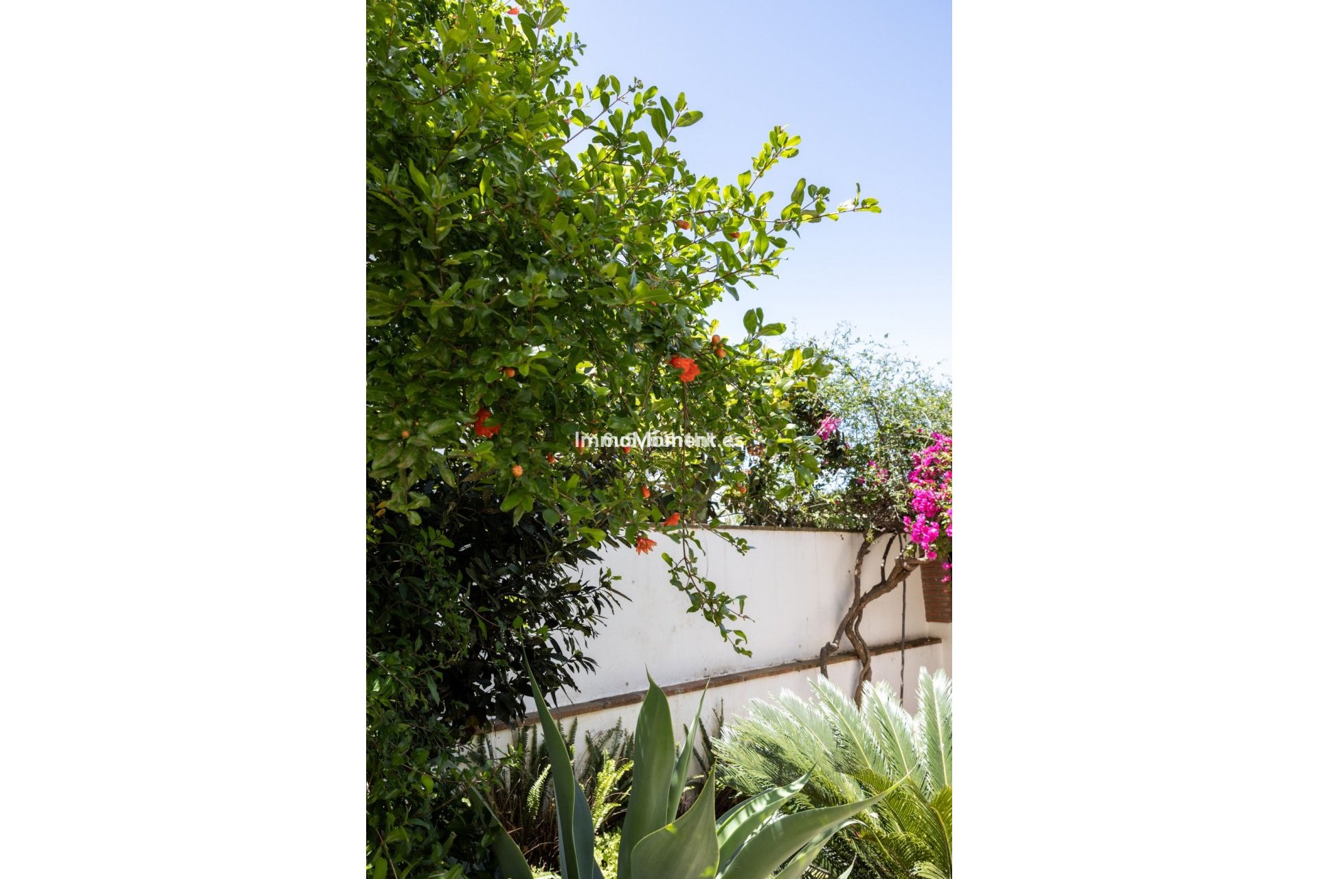 Bestaande woning - Rijtjeshuis - Marbella - San Pedro de Alcántara