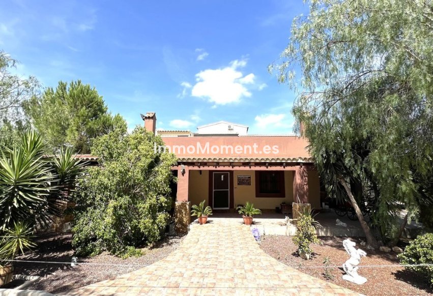 Bestaande woning - Rijtjeshuis - Orihuela - Orihuela Centro