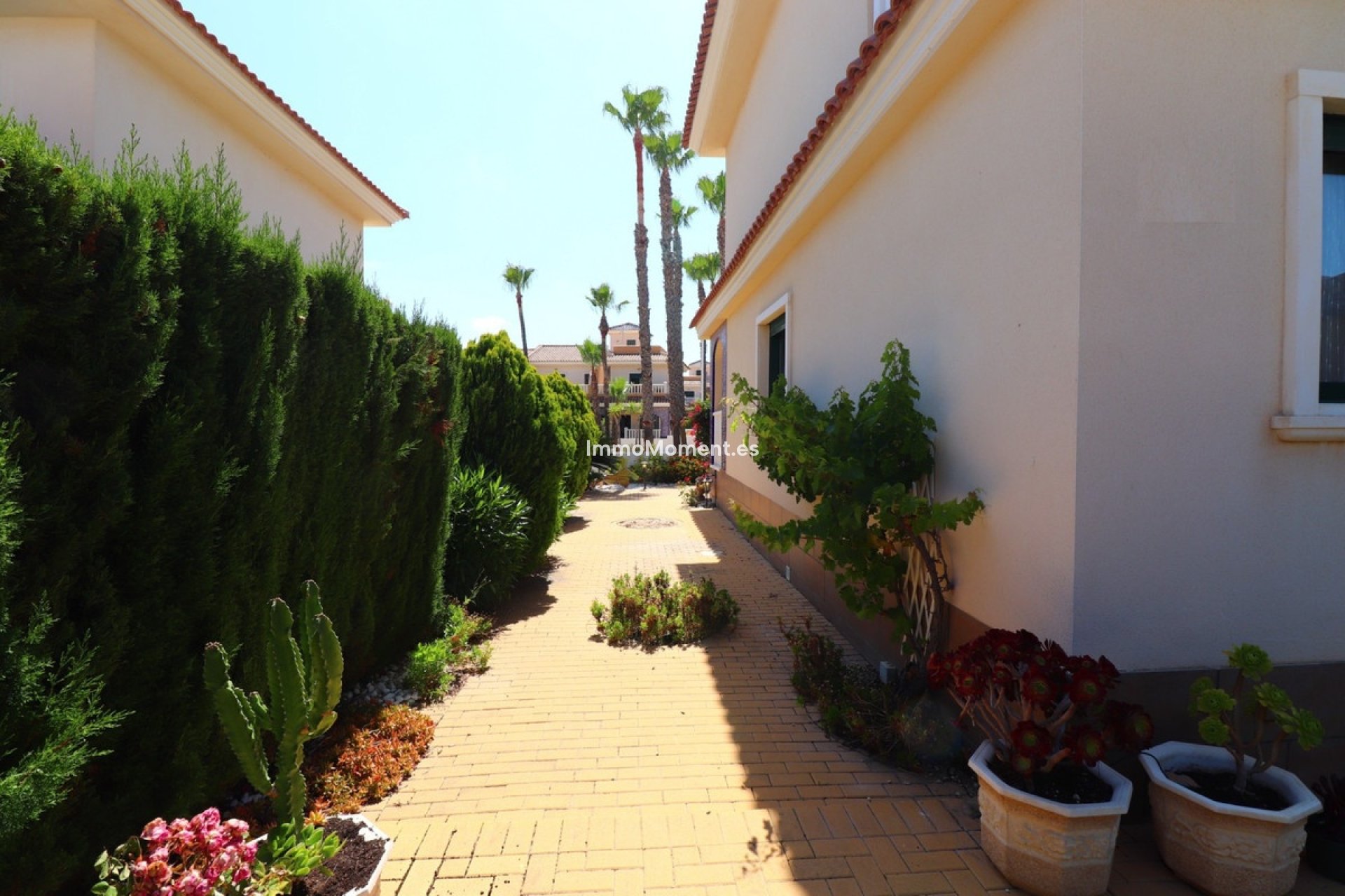Bestaande woning - Rijtjeshuis - Rojales - Dona Pepa