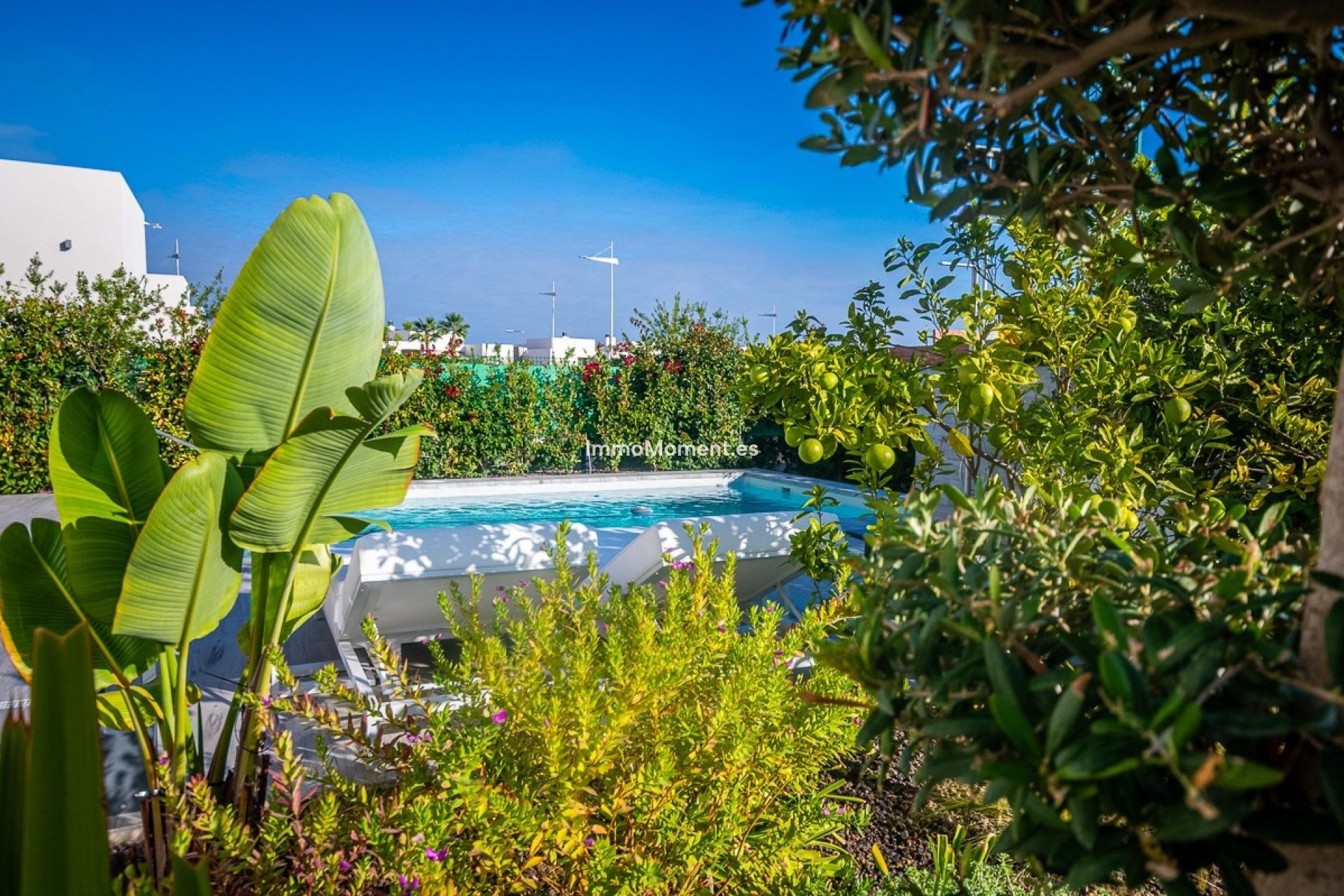 Bestaande woning - Villa - Algorfa - Algorfa Centro