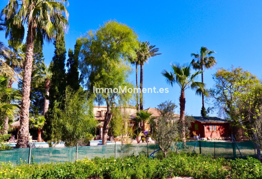 Bestaande woning - Villa - Almoradí - Heredades