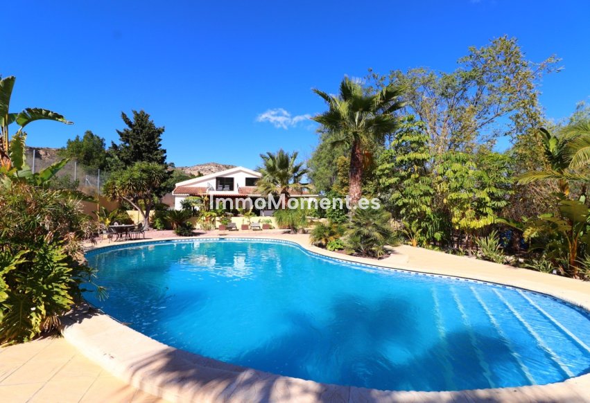 Bestaande woning - Villa - Aspe - Aspe Centro