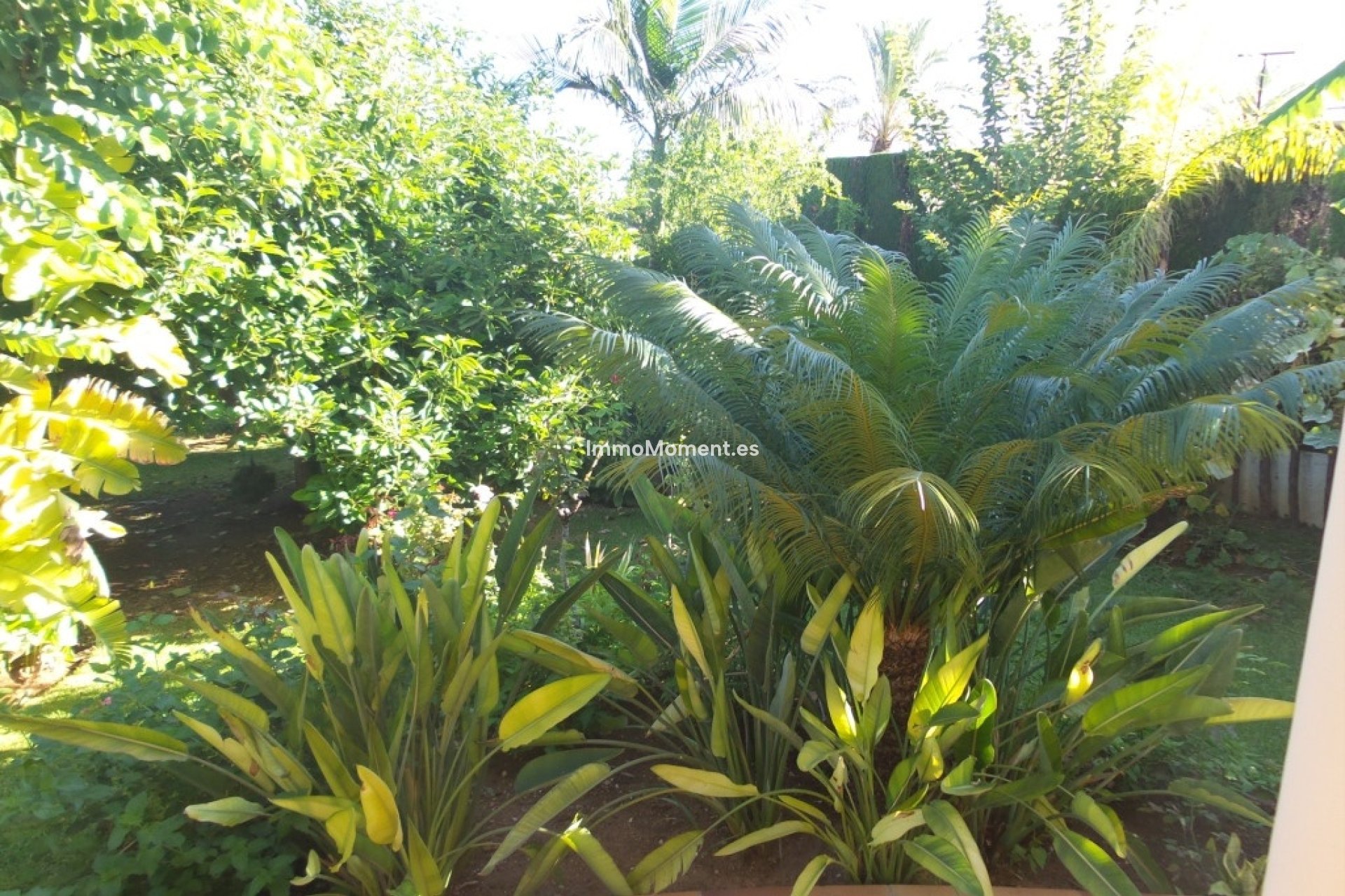 Bestaande woning - Villa - Binnenland  - Alhaurín de la Torre