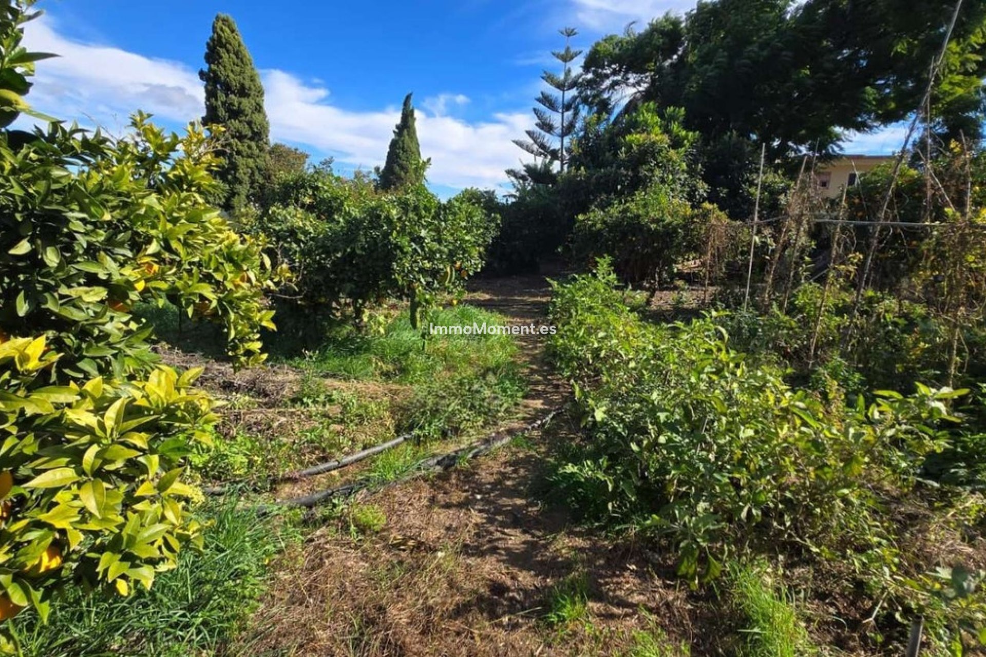 Bestaande woning - Villa - Binnenland  - Alhaurín de la Torre