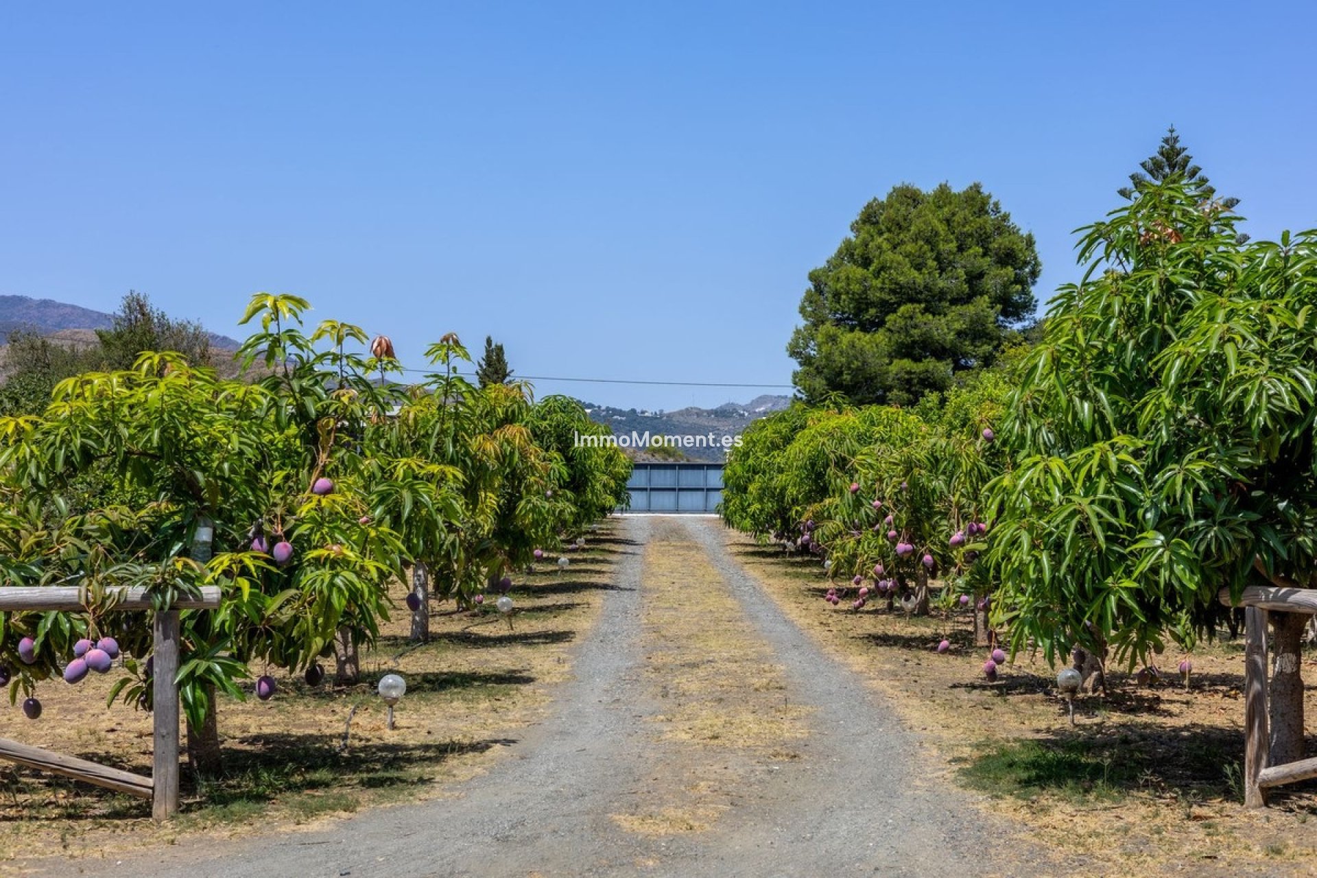 Bestaande woning - Villa - Binnenland  - Alhaurín el Grande Centro